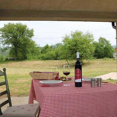Villa Zwei Zedern Pićan Buitenkant foto
